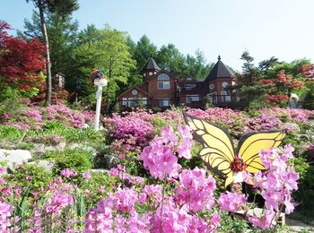 Elf Resort Hotel 3*