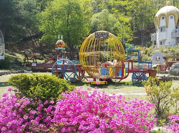 Elf Resort Hotel 3*
