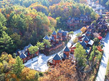 Elf Resort Hotel 3*