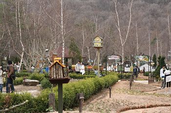 Elf Resort Hotel 3*