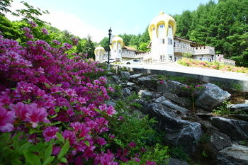 Elf Resort Hotel 3*