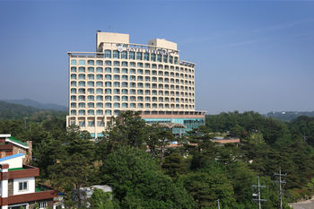 Hotel Maremons 4*