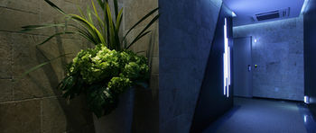 Antives Hotel 3*