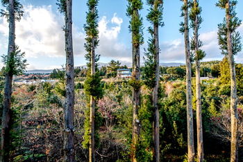 Donnaekohill Resort 3*
