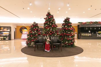 Kensington Resort Seogwipo 4*