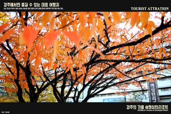 Kensington Resort Gyeongju 4*