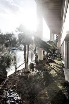 Pine Grove Hotel 3*