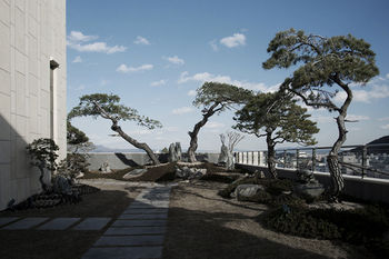 Pine Grove Hotel 3*