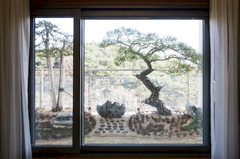 Pine Grove Hotel 3*