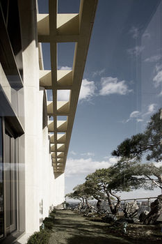 Pine Grove Hotel 3*
