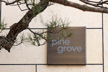 Pine Grove Hotel 3*