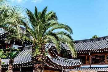 Jeju Hanok Hotel Hallagung 2*