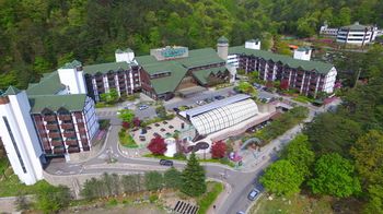 Osaek Greenyard Hotel 3*