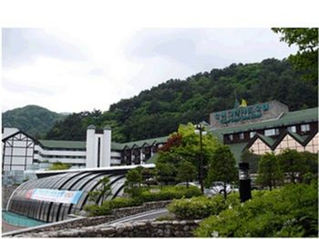 Osaek Greenyard Hotel 3*