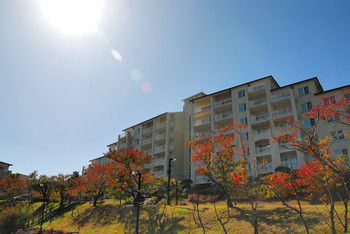 The Mauna Ocean Resort 3*