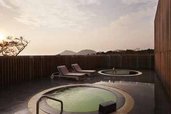 The Annex 4*