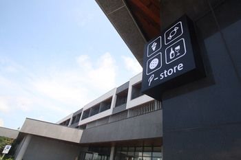 The Annex 4*