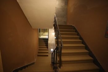 Hotel TreeShade Dongdaemun 3*