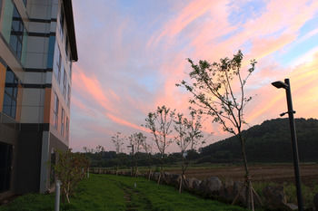 Jeju Stay in Seongsan Hotel 2*