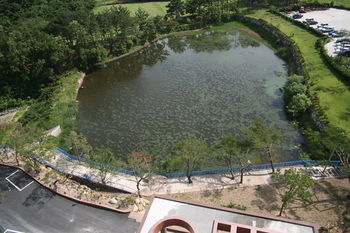 Dongbusan Oncheon Hotel 3*