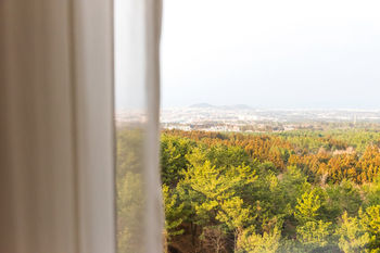 Hotel Nanta Jeju 3*