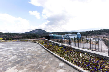 Hotel Nanta Jeju 3*