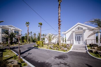Jeju Washington 3*