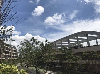 The Qube Resort Jeju 3*