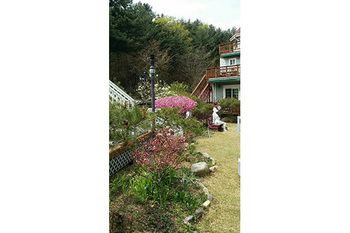 Gyeongju Olive House Pension 3*