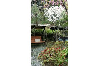 Gyeongju Olive House Pension 3*
