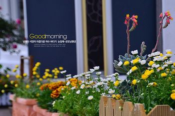 Yeosu Good Morning Pension 3*