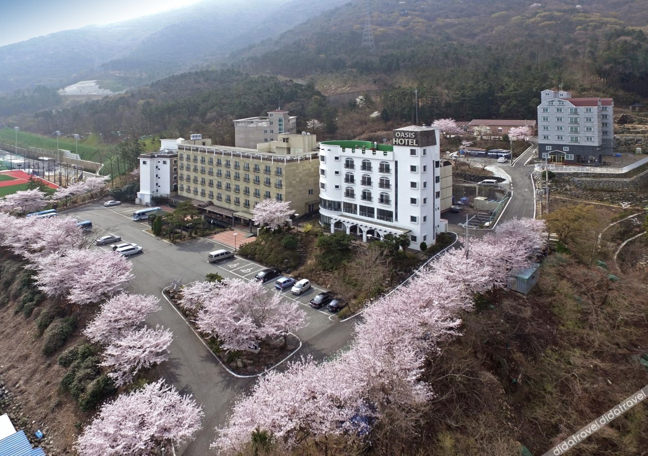 Geoje Oasis Hotel 3*