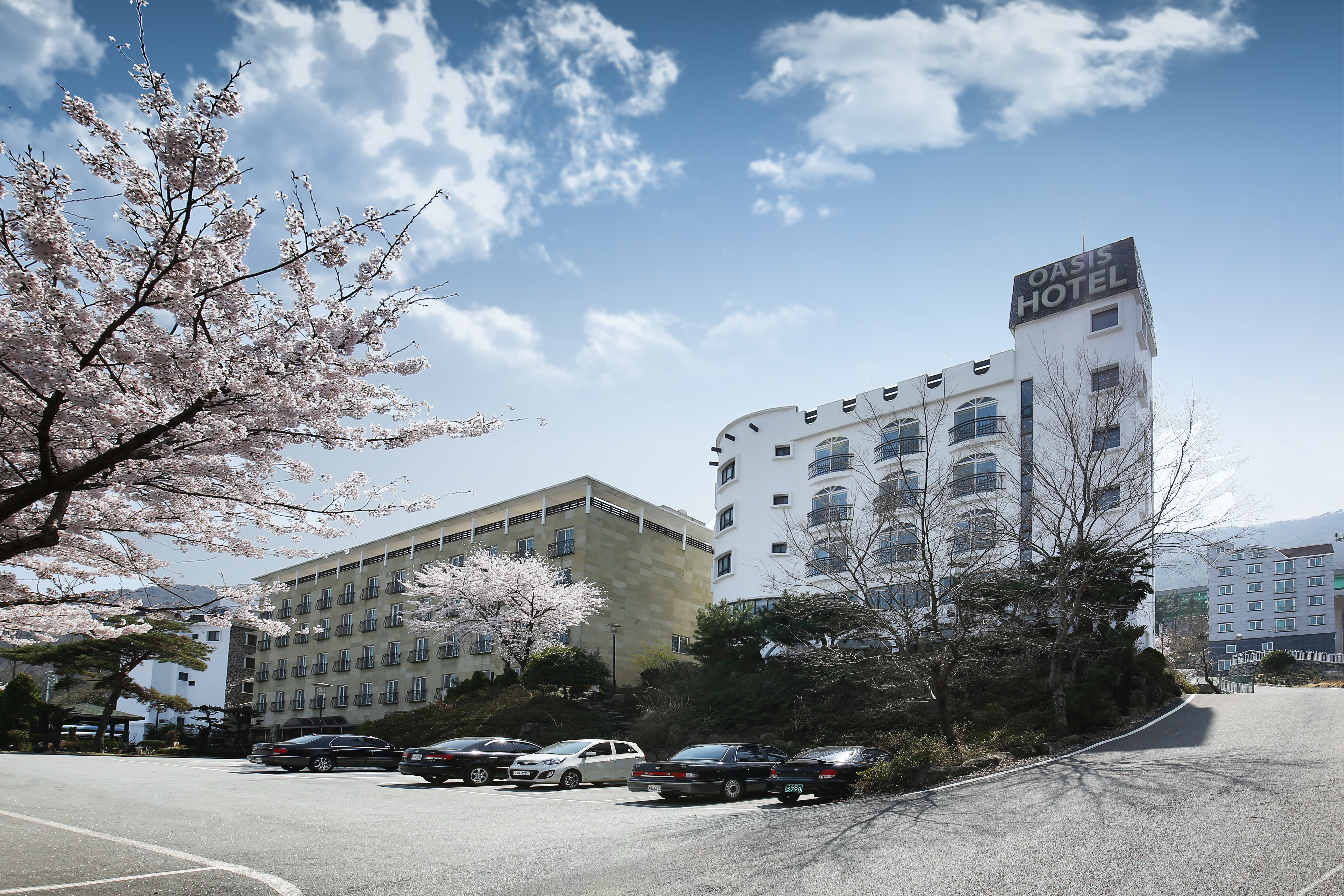 Geoje Oasis Hotel 3*