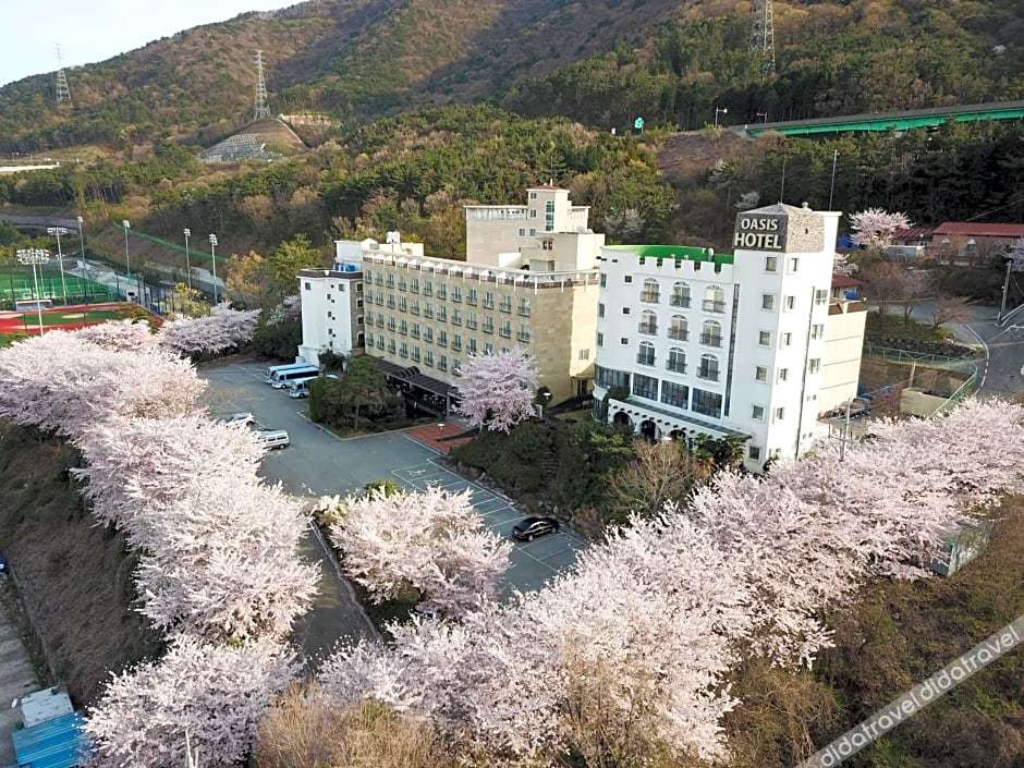 Geoje Oasis Hotel 3*