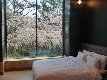 Suntree Hotel 2*