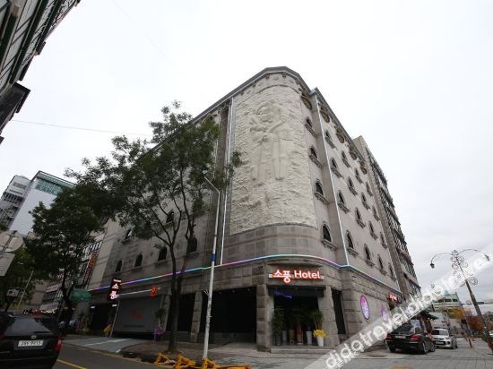 Hotel Sopoong 2*