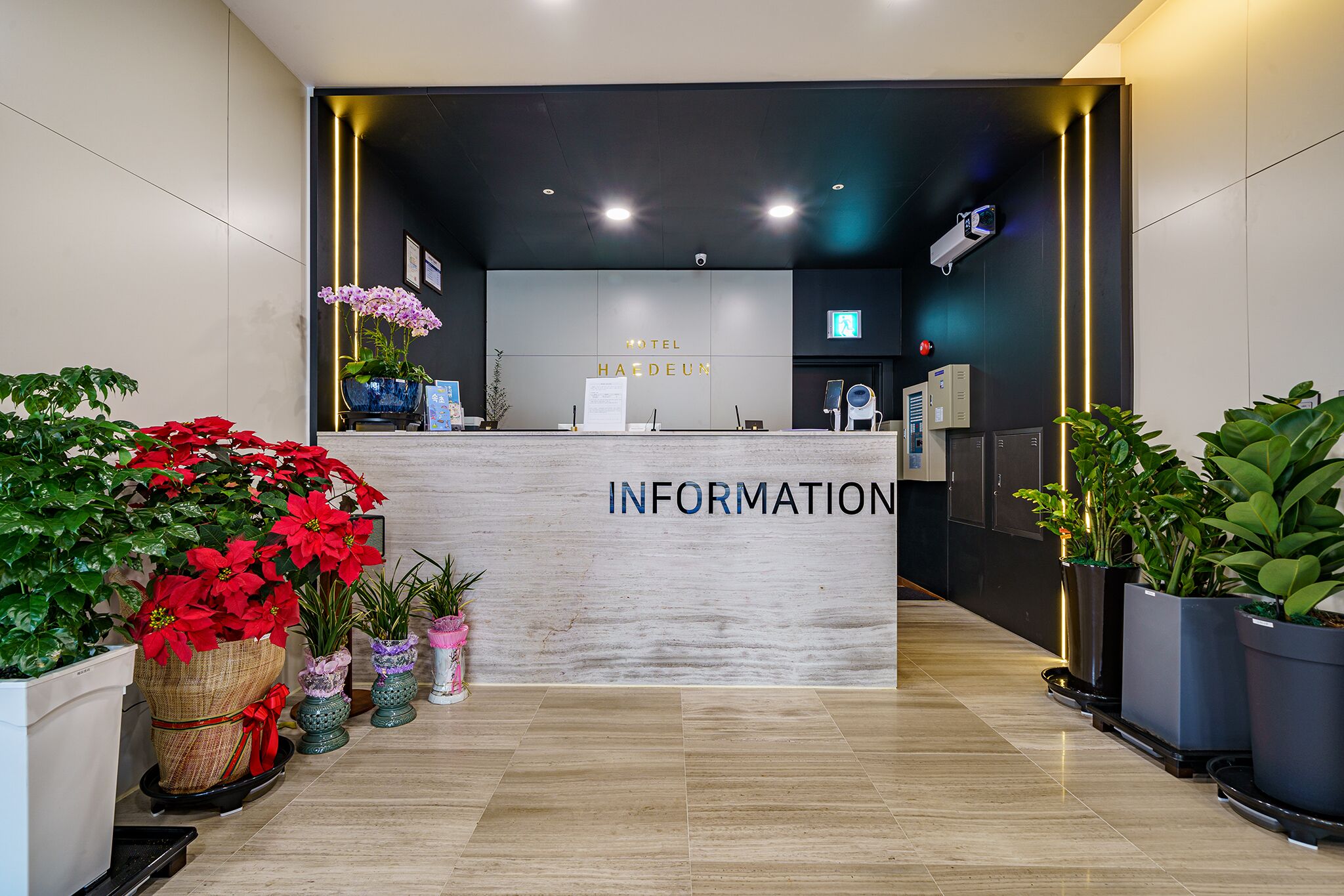 Hotel Haedeun 3*