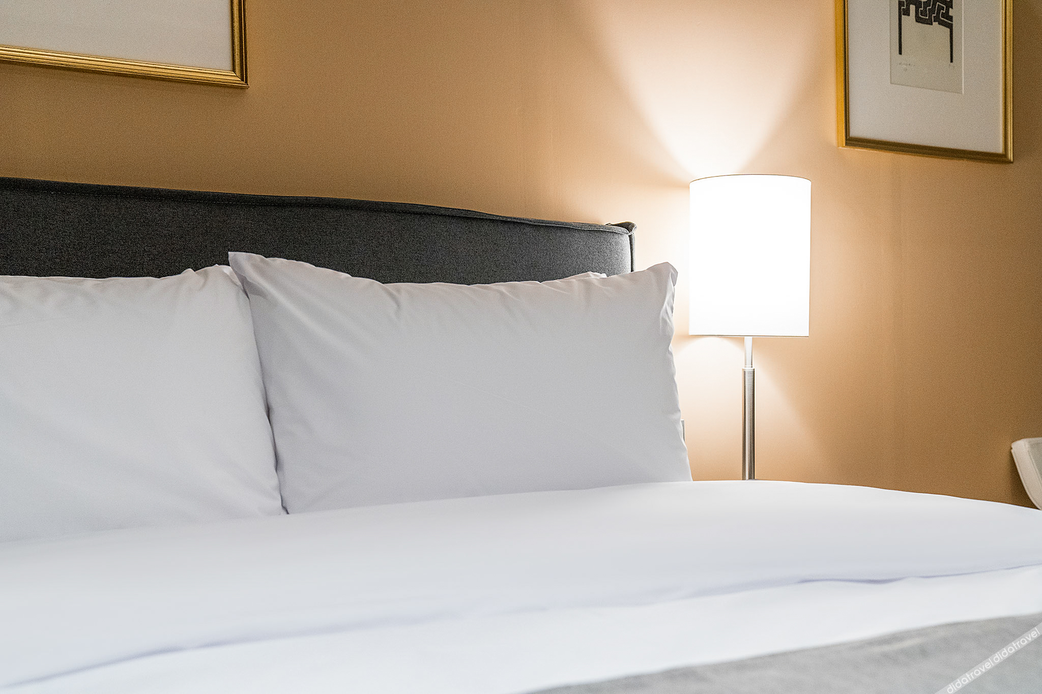 Dongnae Hound Hotel Sajik Minam Station 2*