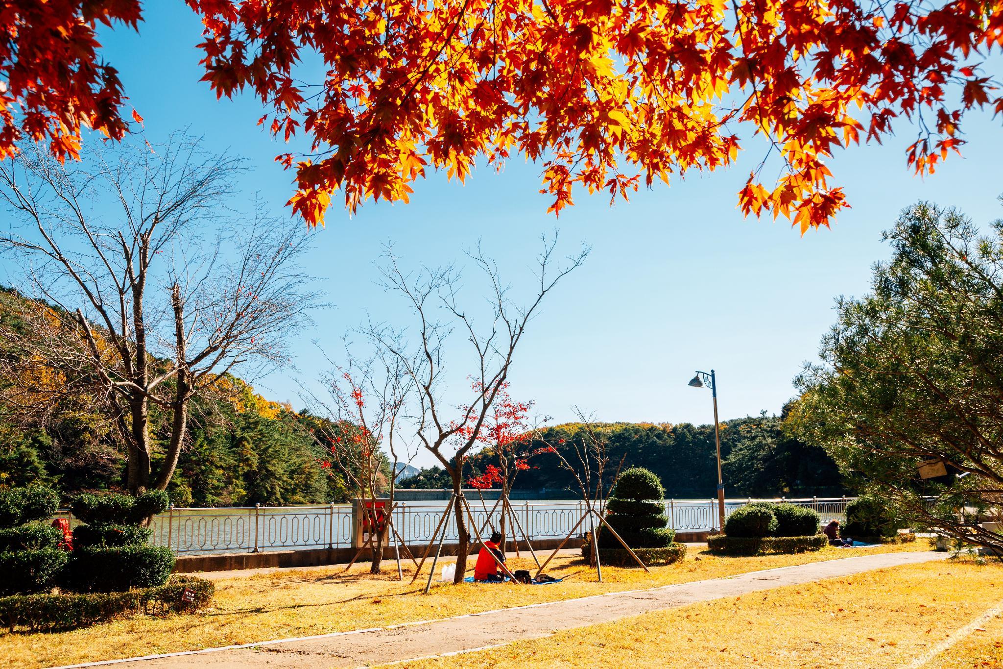 Dongnae Hound Hotel Sajik Minam Station 2*