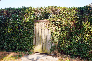 Jeju Belayuna 0*