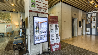 Jeju Belayuna 0*