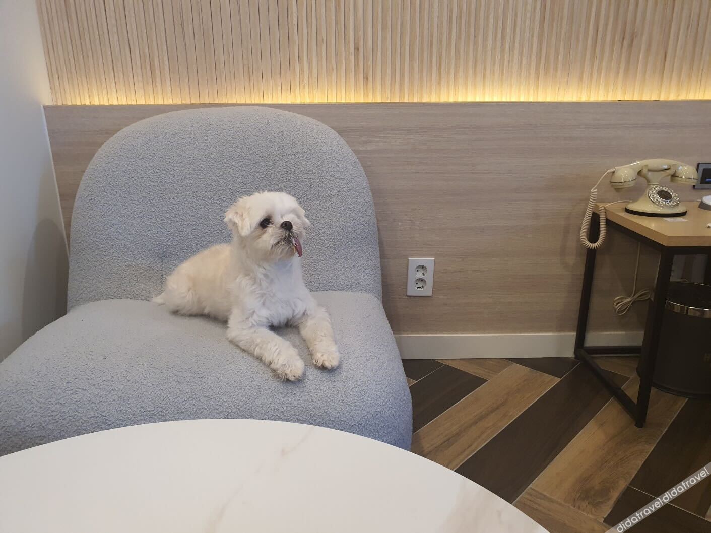 Incheon Hound IncheonGeomdan New Town Branch 2*