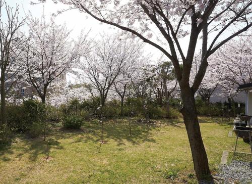 White pension 3*