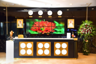 Bloom Hotel 4*