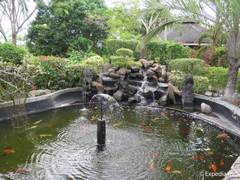 Cintai - Coritos Garden Hotel 4*