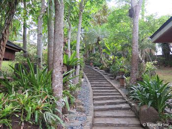 Cintai - Coritos Garden Hotel 4*