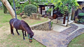 Cintai - Coritos Garden Hotel 4*