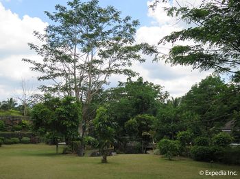 Cintai - Coritos Garden Hotel 4*