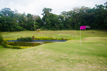 Forest Crest Nature Hotel and Resort 3*