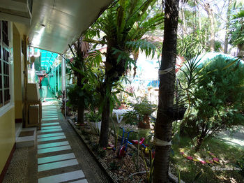D' Lucky Garden Inn 3*